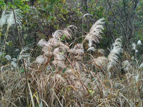 《遊老山響堂水庫》