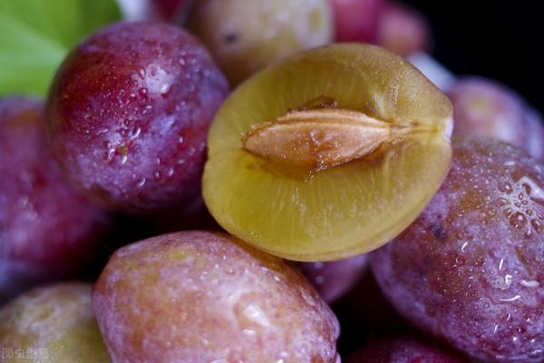 這幾種好吃不長胖的水果，有沒有你愛吃的？