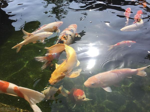 待到春冬相交時，相約釣魚去