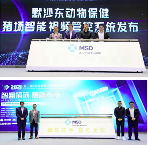這一場國際智慧養豬落地盛宴!智盈豬場,慧贏未來 這一場國際智慧養豬落地盛宴!智盈豬場,慧贏未來