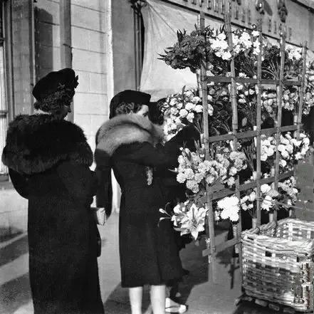 東北各民族，上下五千年，信不信我一張圖一分鐘，給你整明白