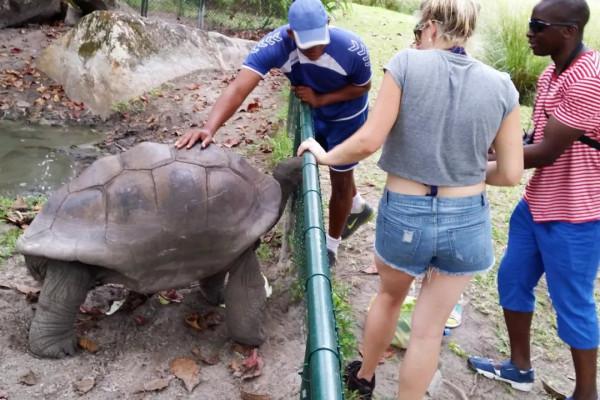 10年深度+豪華遊玩60國
