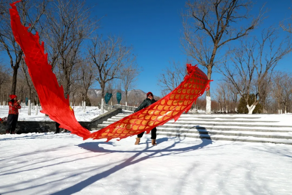 快來看，蘇家坨鎮的雪景美出了圈！