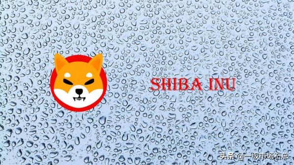 總結最具影響力的5種幣種，一文詳解