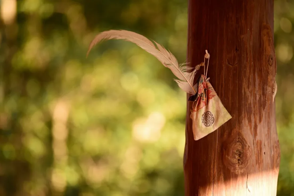 九九消寒，最適合做這些風雅小事