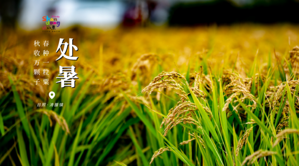 用二十四節氣開啟山東，齊風魯韻美如畫