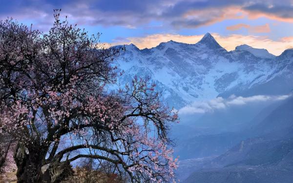 絕美雪山旁的避世酒店