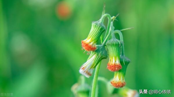 做好這三點，掌握人生的方向盤，活出純粹真我