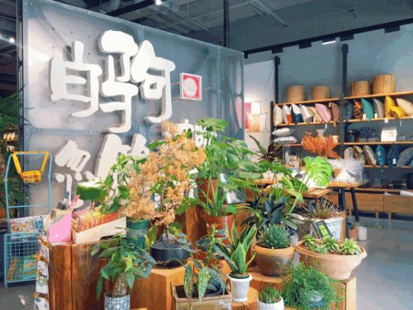 海淀北部這個超文藝的打卡地,藏不住了! 海淀北部這個超文藝的打卡地,藏不住了!