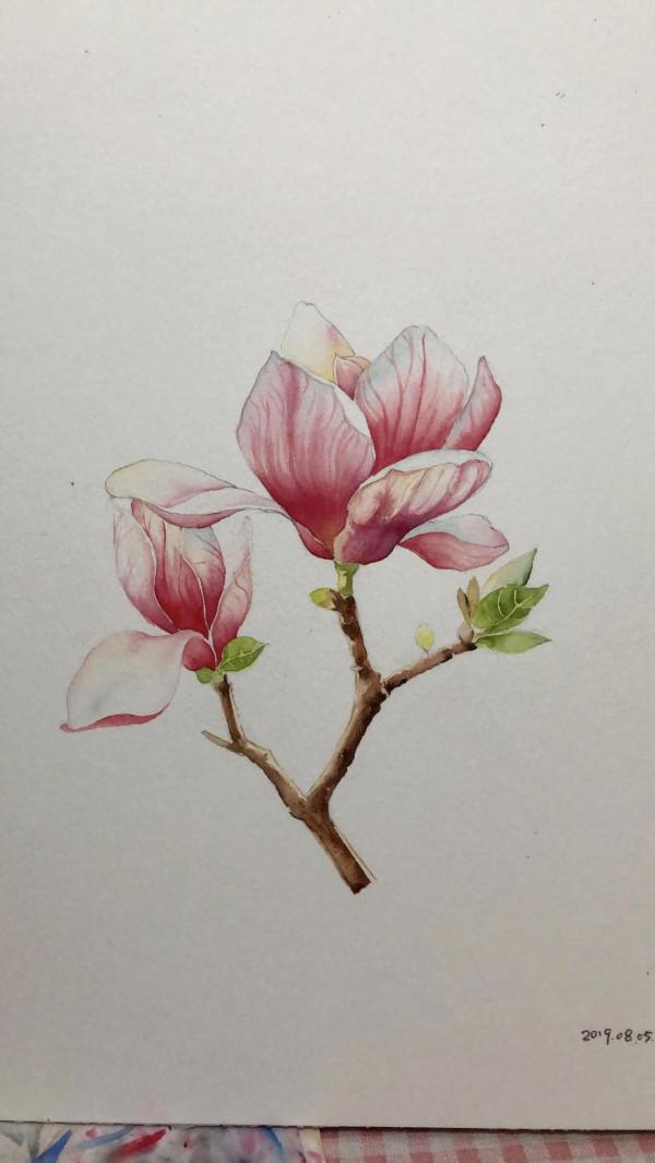 繪畫——因為熱愛所以堅持 繪畫——因為熱愛所以堅持