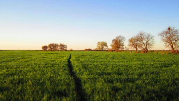 靈隱塔羅:白羊座12月上半月運勢,有些水逆,莫名產生不好的情緒 靈隱塔羅:白羊座12月上半月運勢,有些水逆,莫名產生不好的情緒
