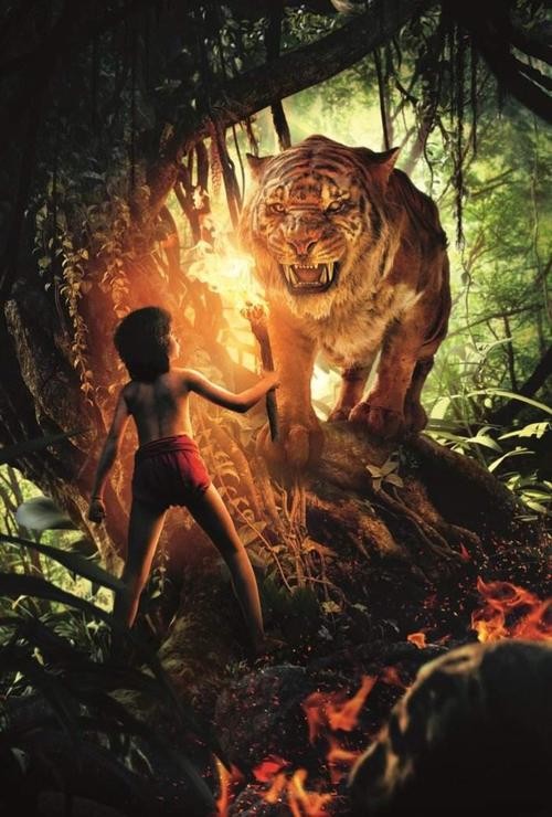 《奇幻森林》裡一群動物是如何保護一個人類男孩的