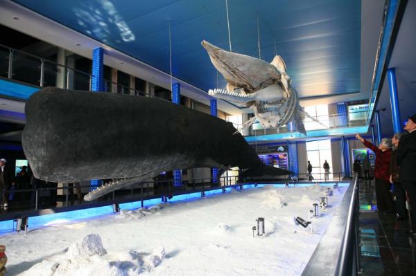 劉公島:海上仙山、世外桃源、東隅屏藩、不沉的戰艦 劉公島:海上仙山、世外桃源、東隅屏藩、不沉的戰艦