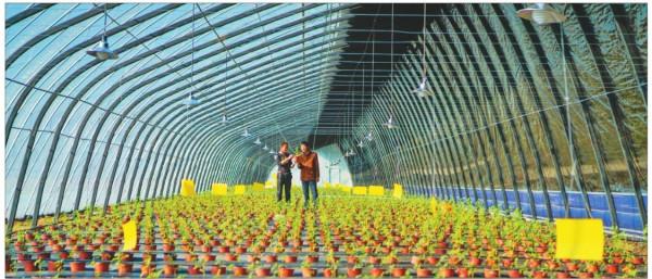 村長一職或不復存在，3個“新職位”入駐農村，村民都表示支援