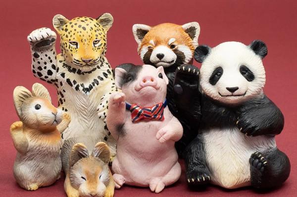 跟中國國家地理看福建 | 活動招募 跟中國國家地理看福建 | 活動招募