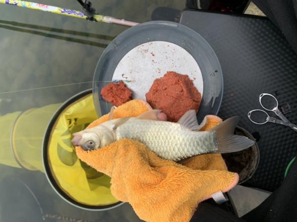 能夠起的早選好位置,空軍基地也是可以有收穫的 能夠起的早選好位置,空軍基地也是可以有收穫的