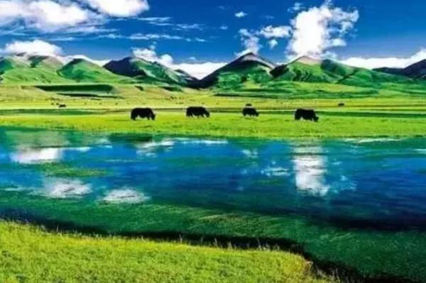 美麗的草原，我來了