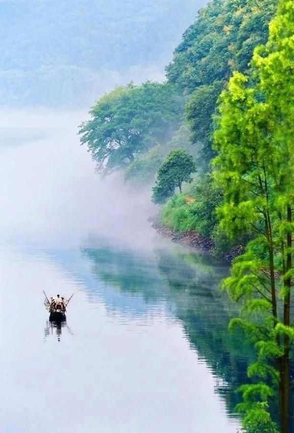 絕美西湖美景太美了