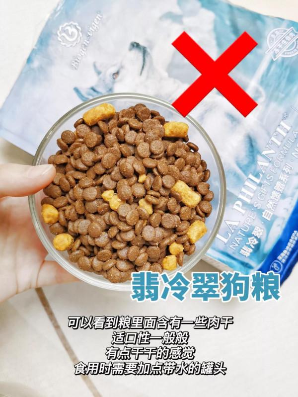 狗狗一直吃這些狗糧，為什麼身體卻越來越差