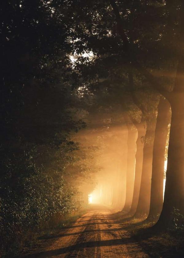 作家那多,攪動人心底最脆弱的地方 作家那多,攪動人心底最脆弱的地方