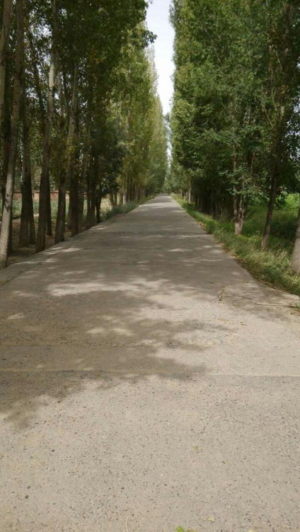 農 場——《綠色印痕》 農 場——《綠色印痕》