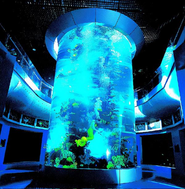 全球唯一十星級酒店——迪拜海底酒店