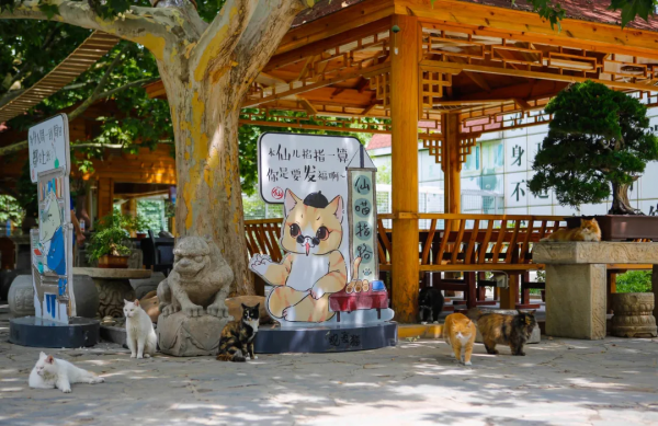 天團連連看，你的眼睛還好嗎？