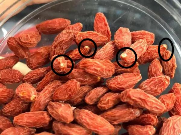 買枸杞，小心“摻假”，記3個妙招，輕鬆避開“問題”枸杞