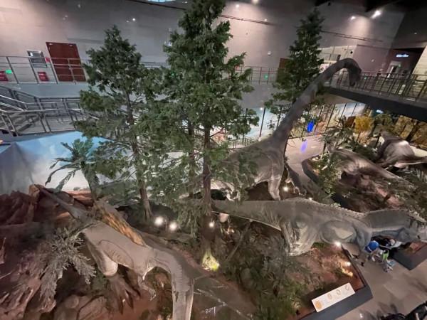 今天,邀請你一起去湖南省地質博物館,看萬物征途 今天,邀請你一起去湖南省地質博物館,看萬物征途