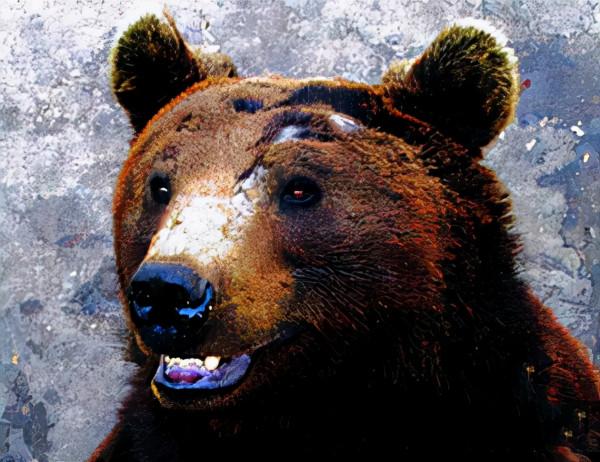 19年前北京“硫酸傷熊事件”的清華大學生,從天之驕子到學校之恥 19年前北京“硫酸傷熊事件”的清華大學生,從天之驕子到學校之恥