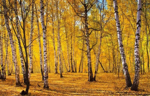 美呆!國內這8個地方一定要去!定會給你不一樣的驚喜 美呆!國內這8個地方一定要去!定會給你不一樣的驚喜