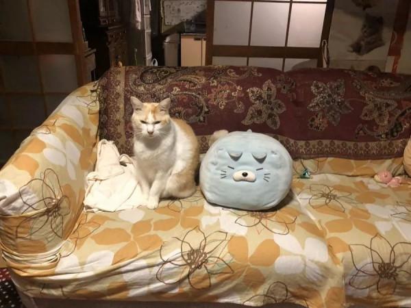 日本網友的魔性簡筆畫,太有靈魂了哈哈哈哈哈 日本網友的魔性簡筆畫,太有靈魂了哈哈哈哈哈