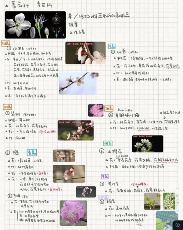 6位“雙一流”學霸筆記曝光,條理清晰,堪比印刷!網友:難怪是學霸! 6位“雙一流”學霸筆記曝光,條理清晰,堪比印刷!網友:難怪是學霸!