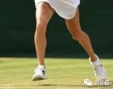 人類小腿形態研究 人類小腿形態研究