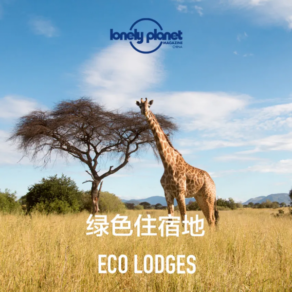 在這10處綠色住宿地,體驗原汁原味的大自然 在這10處綠色住宿地,體驗原汁原味的大自然