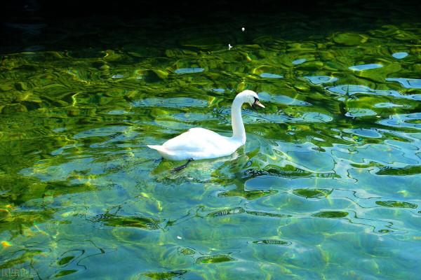 昨天的故事系列《孩子們的天堂》 昨天的故事系列《孩子們的天堂》