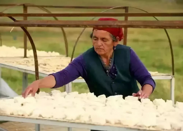 迪麗熱巴愛不釋手的酸奶疙瘩真的很難吃嗎？新疆人：沒見過世面