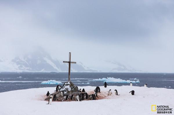 南極洲的夏天是什麼樣子的？