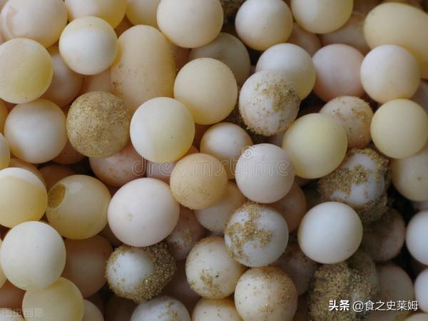 美食荒漠：大航海時期的海盜水手們，其實吃著令人絕望的食物