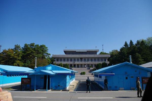 美軍為砍一棵樹，犧牲了兩名軍官，出動航空母艦護衛