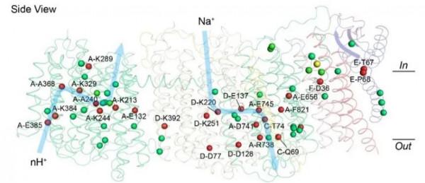 “十三五”科技展上的北大突破