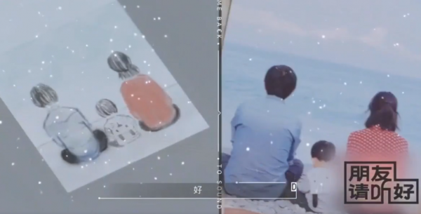明星中的&OpenCurlyDoubleQuote;靈魂畫手&rdquo;：溫碧霞老虎畫成貓，沈騰畫如其人太搞笑