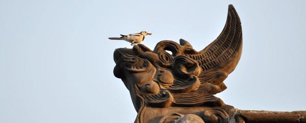 中原第一宅，就在河南！原門票價40元，現在免費對外開放