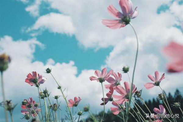 女人怎樣的人生才算有價值?請不要再過度宣揚精彩的勵志女人 女人怎樣的人生才算有價值?請不要再過度宣揚精彩的勵志女人