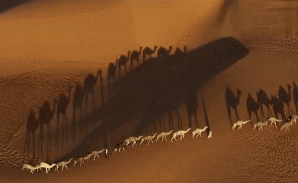 CR“玩轉地球”| 探索神秘的大西北