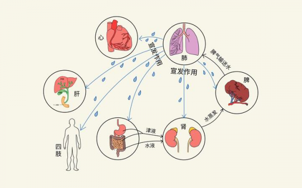 頭暈眼花站不住？關鍵在於有痰溼，1個方子，健脾化痰溼，止眩暈