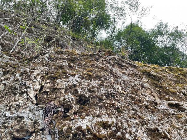 四川省巴中市南江縣光霧山，一年四季景色都不錯，值得去的地方