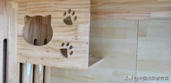 我最喜歡哥哥的寵物貓