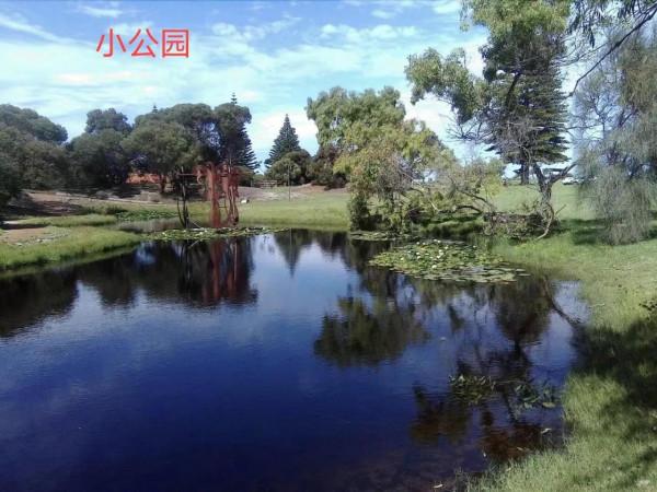 澳洲小鎮挨斯佩蘭斯