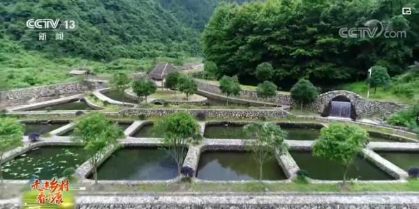 走進鄉村看小康 | 安徽休寧：山泉流水養魚 景秀味美民富